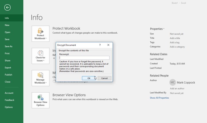 Excel fordert den Benutzer auf, ein Kennwort für das Dokument zu erstellen und einzugeben.