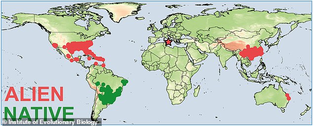 Außer in Europa (roter Stern) konnte es sich bereits in Australien, China, der Karibik, Mexiko und den USA etablieren