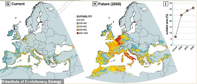 Dem Modell zufolge sind sieben Prozent des europäischen Kontinents für die Art geeignet, wobei diese Zahl aufgrund des Klimawandels noch steigen wird
