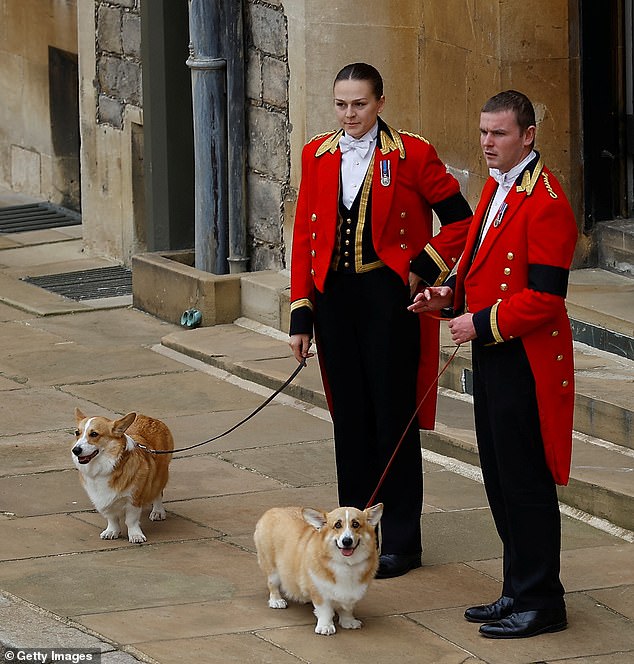 Die beiden Corgis Sandy und Muick (im Bild) berührten die Herzen der Menschen, als sie vor Windsor Castle gesehen wurden, wie sie nach ihrer Beerdigung in der Westminster Abbey auf die Prozession des Sarges der Königin warteten
