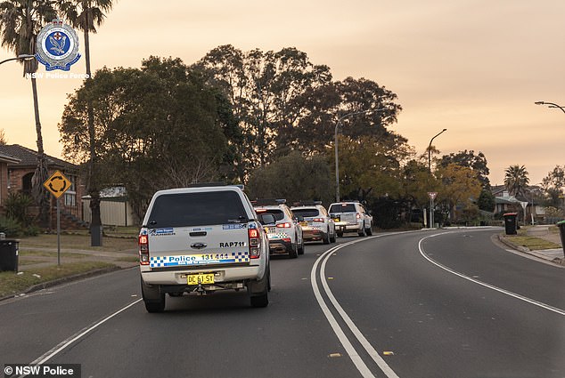 Die Razzien der NSW-Polizei sind Teil der Strike Force Searle, einer Taskforce, die im Oktober 2022 eingerichtet wurde, um den Konsum von Methylamphetamin durch Mitglieder der Motorradbande Lone Wolf zu untersuchen