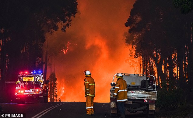 Zwölf Feuerwehr- und Rettungsdienstorganisationen, darunter das Wetteramt, haben eine dringende Warnung herausgegeben, sich „jetzt“ auf die Buschfeuersaison vorzubereiten.  Auf dem Bild ist ein Buschfeuer zu sehen
