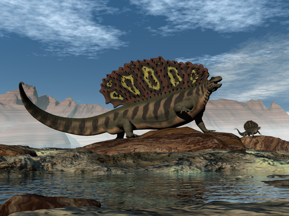 Edaphosaurus steht auf einem Felsen. 