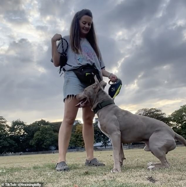 Die Frau hat die Zuschauer aufgefordert, dem Land zu zeigen, wie ein verantwortungsbewusster XL-Bully-Hundebesitzer aussieht