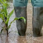 Unterstützung für Slowenien und Griechenland nach Überschwemmungen lässt Zweifel an EU-Agrarreserve aufkommen