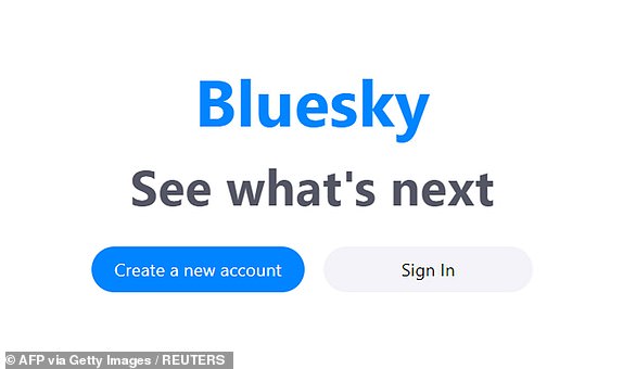 Erfolgreich: Social-Media-Site Bluesky aufgebaut.
