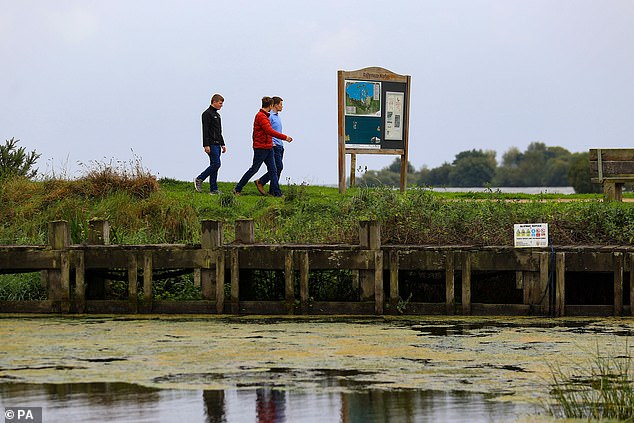 Schädliche Algenblüten haben den ganzen Sommer über weite Teile des Lough Neagh in Nordirland bedeckt