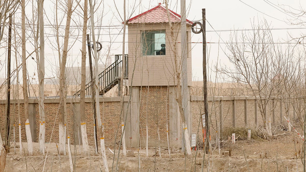 In China werden uigurische Muslime verfolgt, die USA nennen es einen Völkermord