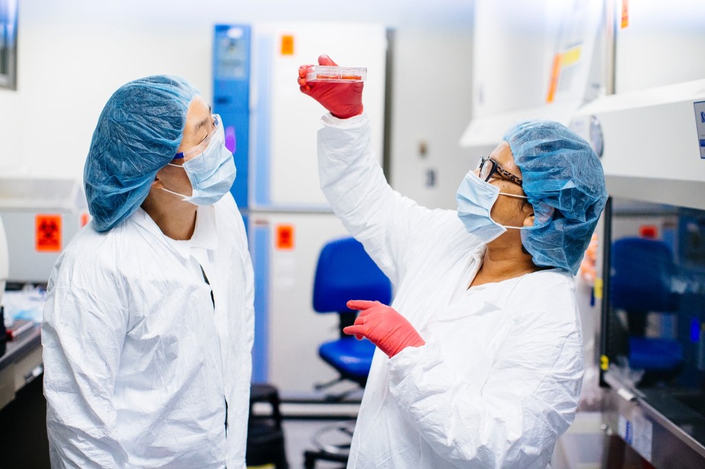 Wissenschaftler in einem Labor tragen Masken und Haarbedeckungen und halten eine Petrischale hoch.