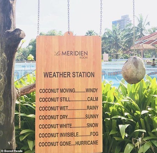 Das Le Méridien Hotel in Kochi, Indien, hat mit nur einer Kokosnuss eine lustige „Wetterstation“ geschaffen