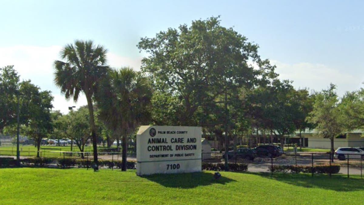 Außenansicht der Tierpflege und -kontrolle in Palm Beach County