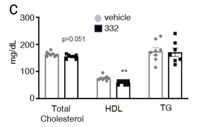 Mäuse, die das Injektionsmittel erhielten (dunkelblau dargestellt), hatten einen niedrigeren Gesamtcholesterinspiegel und niedrigere Triglyceride als Mäuse, die ein Placebo erhielten (grau dargestellt).  Die Unterschiede waren gering, aber dennoch statistisch signifikant