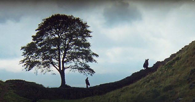 The beloved tree features in Robin Hood Prince of Thieves starring Freeman and Costner and a scene is pictured here