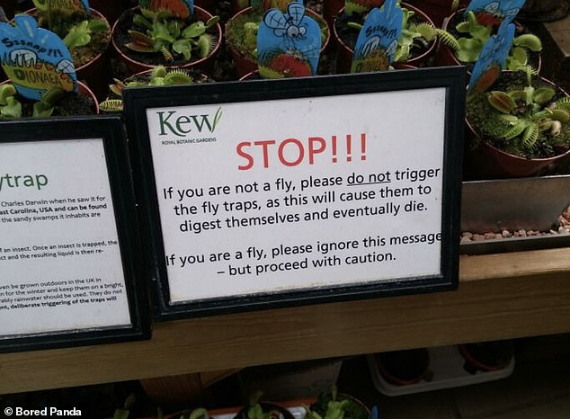 Kew Gardens in London erinnerte Kunden mit einem witzigen Zeichen daran, die Venusfliegenfallen nicht auszulösen