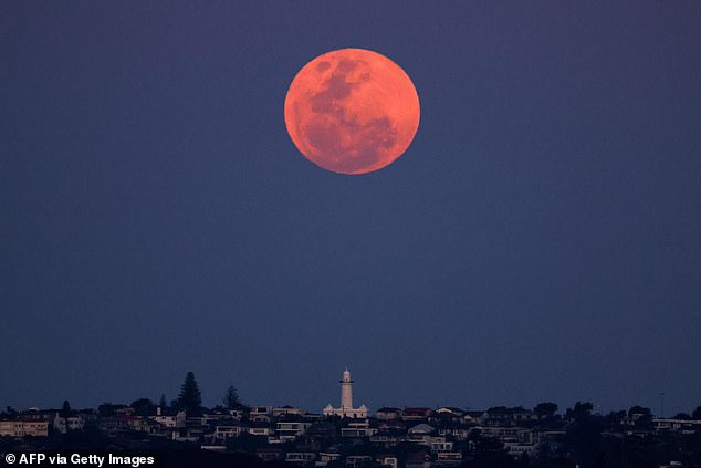 Der Harvet Moon über dem Macquarie Lighthouse in Sydney letzte Nacht