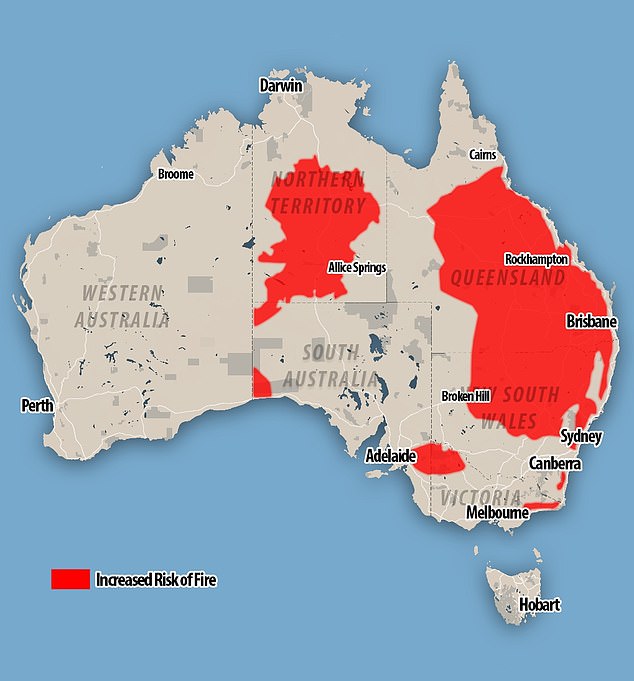 Regen hat zu einem Treibstoffwachstum geführt, das die Ausbreitung von Buschbränden begünstigt, wobei große Teile von New South Wales, Queensland und dem Northern Territory einem erhöhten Risiko ausgesetzt sind