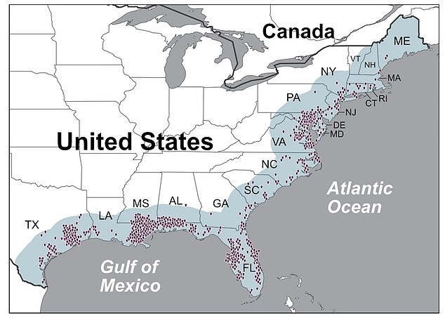 Die obige Karte zeigt, wo in den Vereinigten Staaten zwischen 2008 und 2018 Fälle von Vibrio vulnificus entdeckt wurden. Das Bakterium dringt bei steigenden Meerestemperaturen weiter nach Norden vor