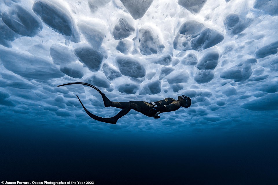 Dieses atemberaubende Bild wurde in der Kategorie „Abenteuer“ ausgezeichnet und zeigt einen Freitaucher, der auf die komplizierten Eismuster unter der Oberfläche eines zugefrorenen Sees in Kanada blickt