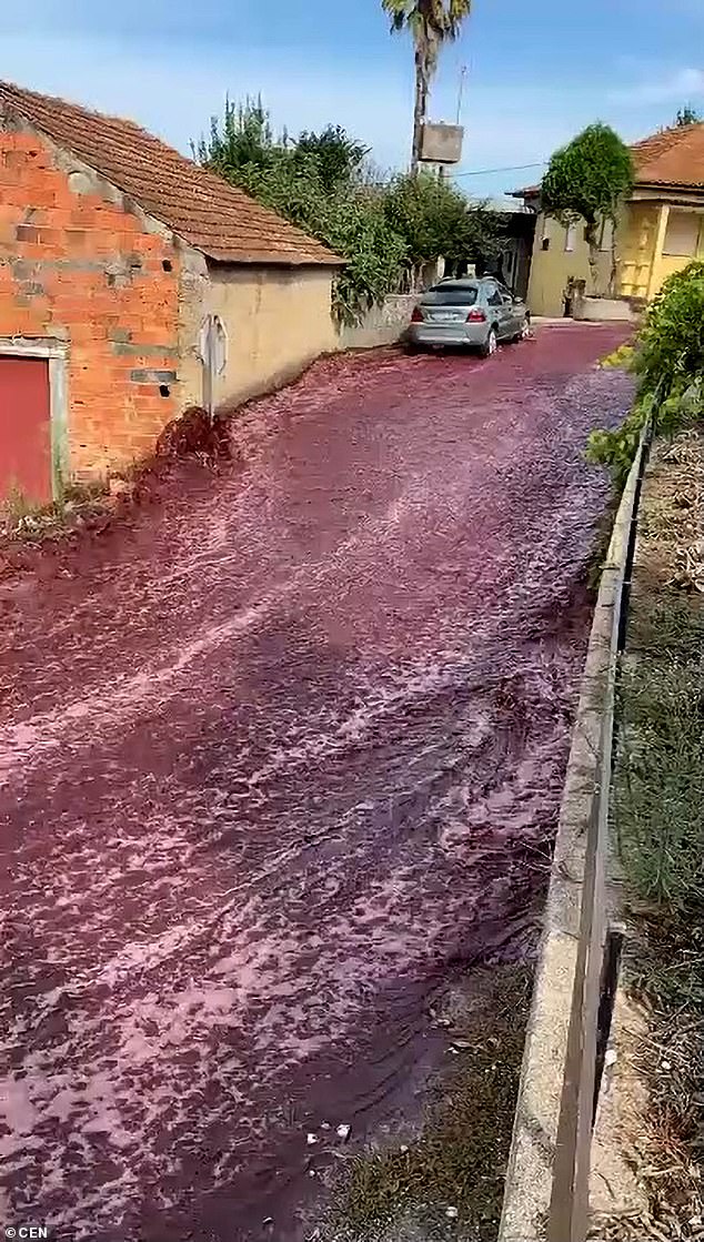 Der Wein, der fast ein olympisches Schwimmbecken füllen würde, floss durch die Straßen von São Lourenco do Bairro in Portugal