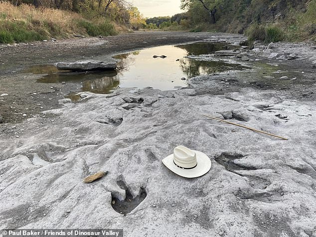 Freiwillige Forscher in Texas haben fast 75 neue Dinosaurierspuren aus der frühen Kreidezeit entdeckt – alles dank sengender Rekordtemperaturen, die die Flussbetten des Paluxy River im Dinosaur Valley State Park ausgetrocknet haben