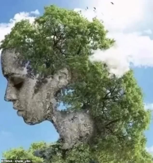 Der Spaß "Persönlichkeitstest" Die optische Täuschung zeigt entweder eine Frau aus Stein, die tief in Gedanken versunken ist, oder eine Gruppe leuchtend grüner Bäume, die aus einem Felsen wachsen