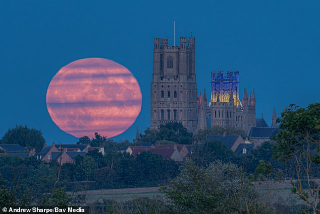 Der Harvest Moon geht am Freitagabend über der Ely Cathedral in den Cambridgeshire Fens auf