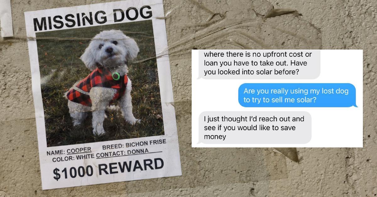 Solarverkäufer sieht das Foto des verlorenen Hundes einer Frau und nutzt es als Gelegenheit, Solar zu verkaufen