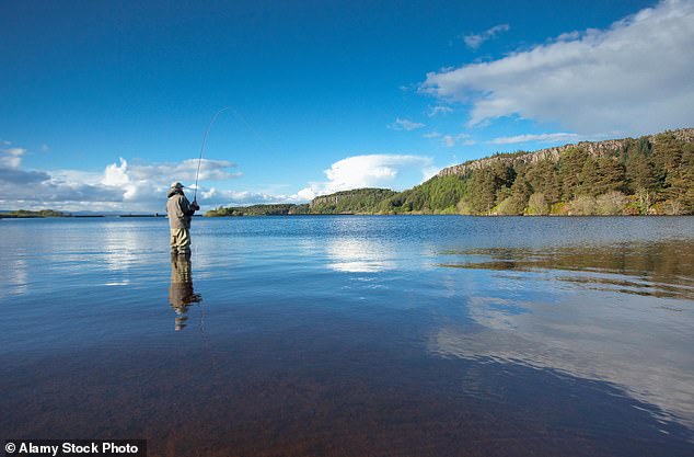 Laut einer neuen Studie ist die Wahrscheinlichkeit, dass normale Angler an Depressionen oder Angstzuständen leiden, um 17 Prozent geringer.  Im Bild: Ein Angler beim Fliegenfischen in Schottland