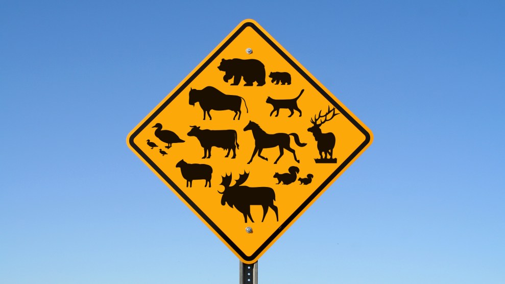 Vor blauem Himmel steht ein gelbes Rautenverkehrsschild.  Auf dem Schild sind Silhouetten von Bären, einem Bison, einem Schaf, einem Pferd, einer Katze, einer Ente und Entenküken, einer Kuh, einem Elch, einem Eichhörnchen und einem Eichhörnchenbaby sowie einem Elch zu sehen.  Das Schild weist darauf hin, dass es sich hier um einen Straßenübergang für viele Tiere handelt.