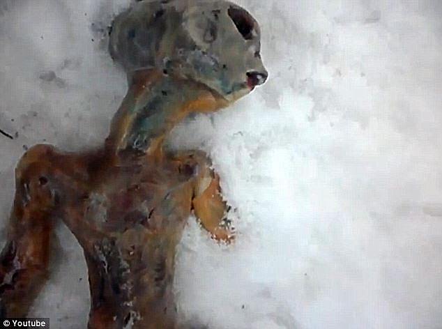 Weird: In 2011, in the frozen wasteland of Siberia, two walkers claimed to have found the remains of an alien in a known UFO hotspot