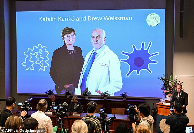 Karikó, 68, and Weissman, 64, first met in the 1990s while working at the University of Pennsylvania after a chance meeting while photocopying research papers. They realised their shared interest before embarking on their decades-long mission to help make better jabs. Pictured, the announcement of the winners this morning at the Karolinska Institute in Stockholm