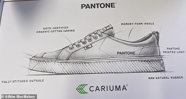 „Das Auspacken von Cariuma-Schuhen ist ein bisschen theatralisch“, sagt Ailbhe.  „Eine illustrierte Karte, die auf die mit Krepp umwickelten Turnschuhe gelegt wird, erklärt, woraus der Schuh besteht, von rohem Naturkautschuk bis hin zu Bio-Baumwoll-Canvas.“