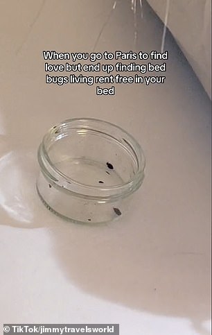 Meanwhile in another video posted on the platform yesterday, @jimmytravelsworld showed him pick out bedbugs using tweezers from his bed and under the mattress. 'When you go to Paris to find love but end up finding bugs living rent free in your bed', he said