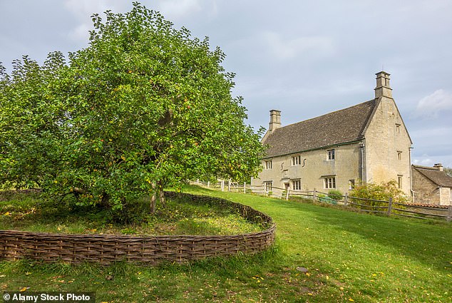 Der berühmteste geklonte Baum in der britischen Geschichte ist tatsächlich der berühmte Apfelbaum von Isaac Newton.  Der aktuelle Baum im Woolsthorpe Manor ist eigentlich ein Klon des ursprünglichen Baumes, der irgendwann um 1820 umfiel
