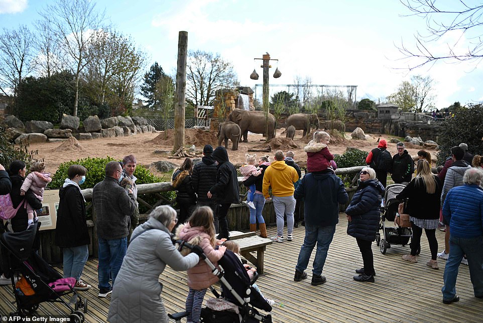 England's Chester Zoo, which claims to be the most visited in the UK, sprawls across 128 acres and is home to more than 27,000 animals