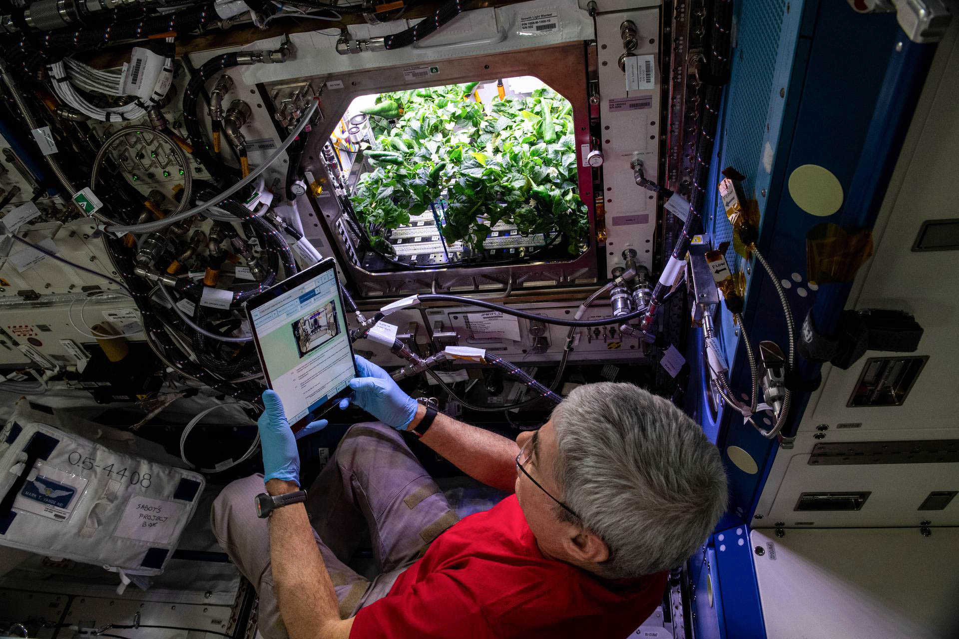 Ein Mann konsultiert ein Tablet, während er neben einem Pflanzenregal sitzt (NASA)