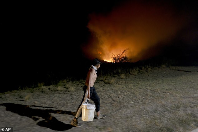 Nach Angaben des argentinischen National Fire Management Service gab es am Dienstag fünf aktive Waldbrände in der Region