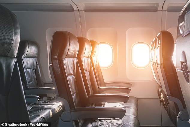 Die Studie ergab, dass die Fluggesellschaften eine feste und relativ kleine Anzahl von Preisen haben, die sie den Tickets für jeden Flug zuweisen