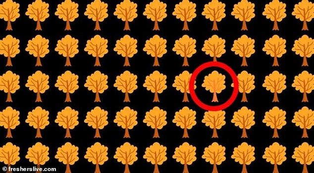 Der versteckte Odd Tree ist oben in einem Kreis markiert.  Solche optischen Täuschungen helfen Ihnen, schnell zu handeln und Ihre Fokussierung zu steigern.  Laut der Website wird es Ihnen helfen, Ihren IQ zu verbessern