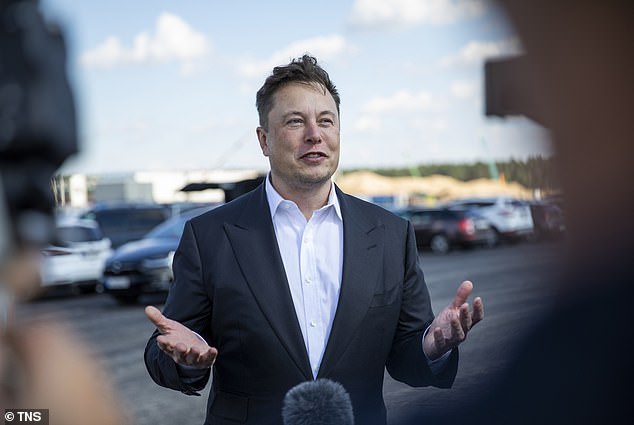 Musks SpaceX nimmt die Vorwürfe nicht auf die leichte Schulter – der Chefingenieur des Unternehmens bezeichnete die Analyse in einem Brief an die FAA und den Kongress als absurd, ungerechtfertigt und ungenau