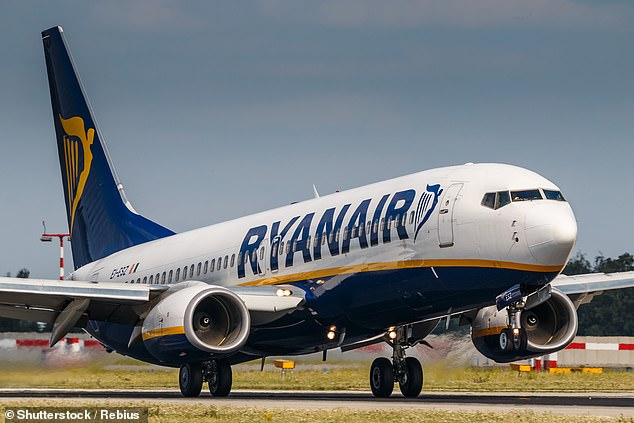 Ted rated the Ryanair 737 cabin experience (stock image) as inferior even to that of Wizz Air, which was ranked as 2023's worst short-haul airline by Which?