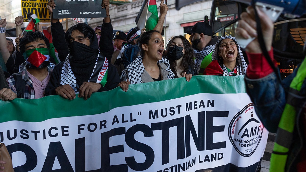 Pro-Palästina-Demonstranten in NYC