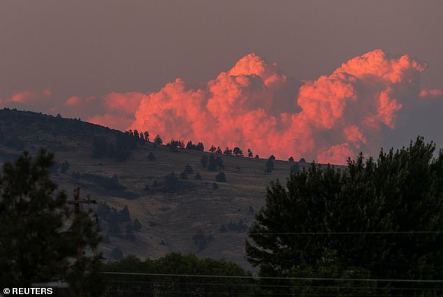 Extreme Ereignisse wie Waldbrände können Auswirkungen auf Tausende von Kilometern Entfernung haben