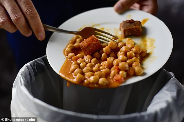 Lebensmittelverschwendung ist in Großbritannien ein großes Problem, da die Briten jedes Jahr schätzungsweise 9,5 Millionen Tonnen Lebensmittel wegwerfen (Archivbild)