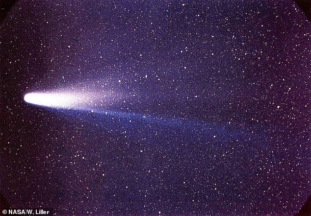 Halleyscher Komet am 8. März 1986. Das Weltraumgestein, das die sandkorngroßen Partikel hinterlassen hat, die die Orioniden hervorbringen, umrundet etwa alle 75 Jahre das innere Sonnensystem