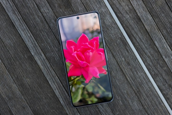 Foto einer Blume, die auf dem Bildschirm des Google Pixel 8 Pro angezeigt wird.