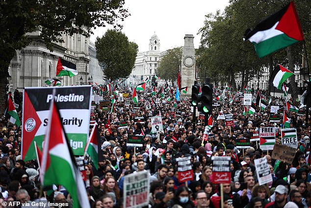 Saturday's protest saw people peacefully demand aid and support for the Palestinian people