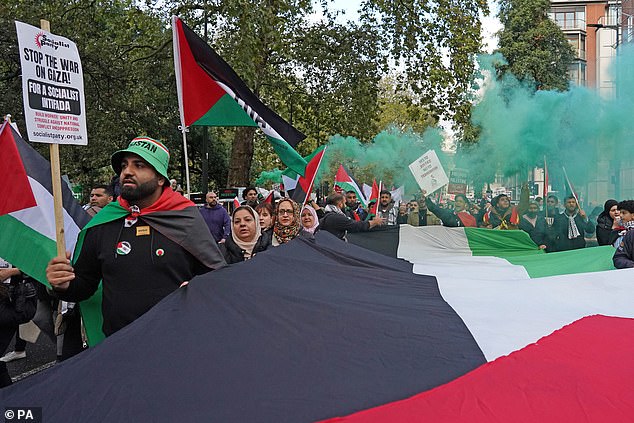 Protesters during a pro-Palestine march organised by Stop the War Coalition and Palestine Solidarity Campaign in central London