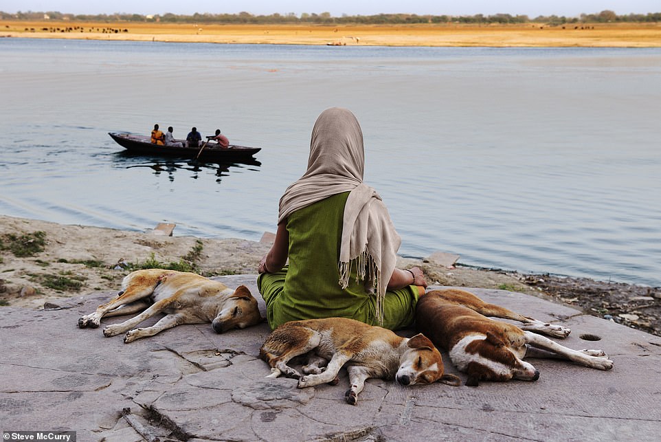 Dieses wunderschöne Bild zeigt eine Frau, begleitet von ruhenden streunenden Hunden, bei ihrer frühmorgendlichen Meditation am Ufer des Ganges in Varanasi, Indien.  Es stammt aus dem Jahr 2010