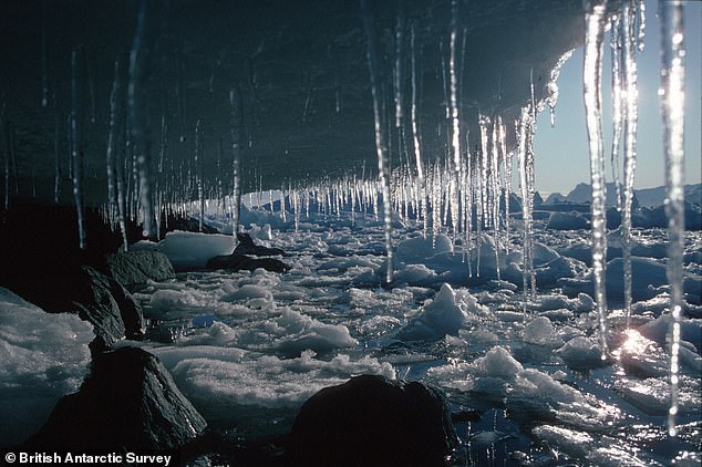 Wenn es vollständig schmilzt, wird die Eisdecke genug Wasser freisetzen, um den Meeresspiegel weltweit um 17 Fuß (5,3 Meter) anzusteigen.